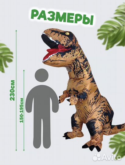 Инвентарь для праздников