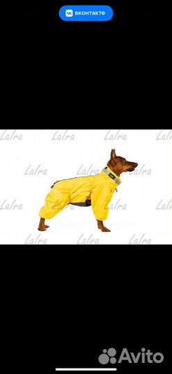 Комбинезон демисезонный для собаки (кобель)