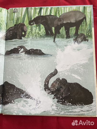 Книги детям