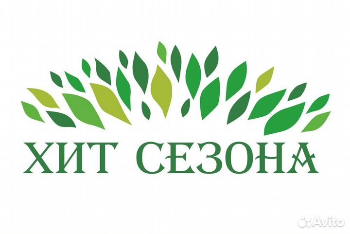 Продавец-кассир в магазин 