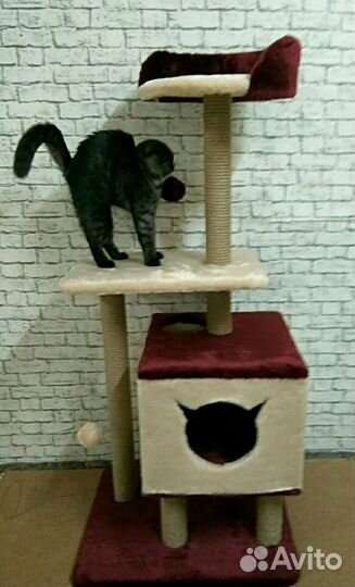 Игровой комплекс для кошек Пальмира