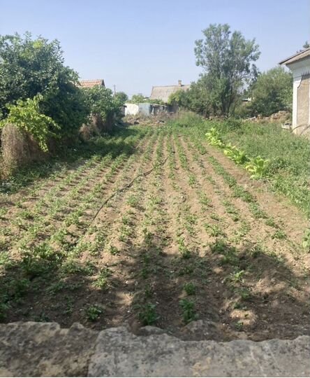 Дом 37 м² на участке 7 сот.