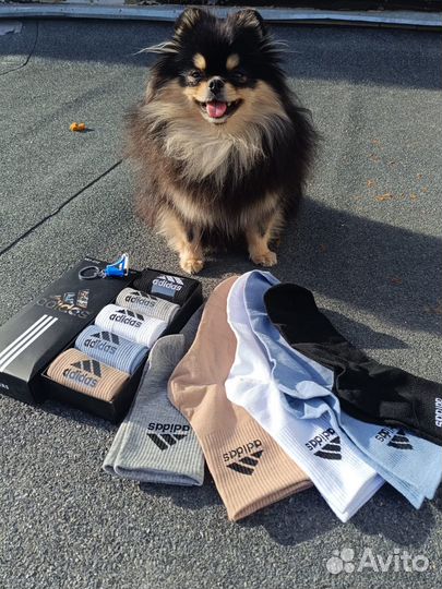 Носки мужские за набор 5 штук