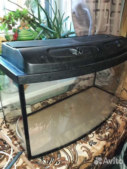 Аквариум-100л