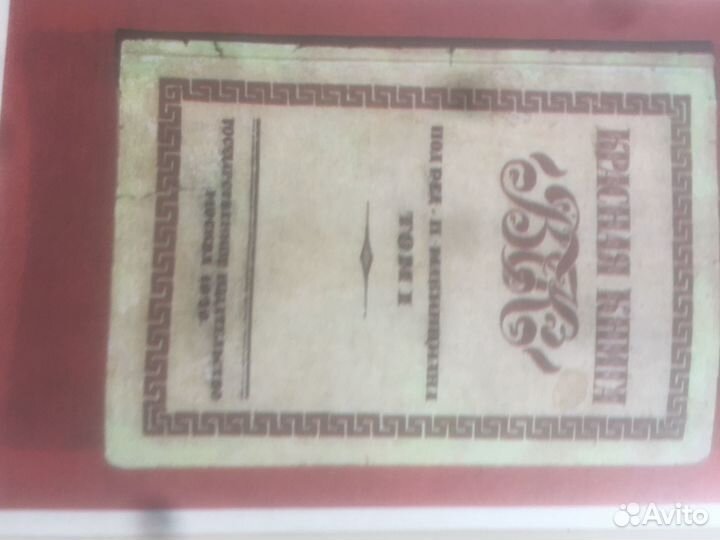 Красная книга вчк двухтомник