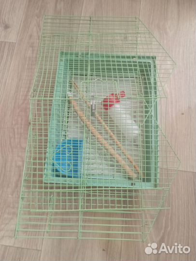 Клетка для птиц