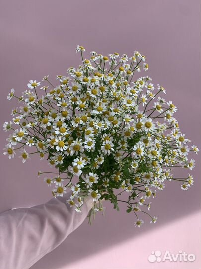 Цветочные истории