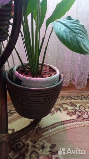 Подставка для цветов из ротанга