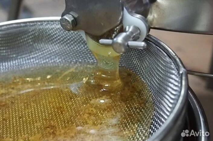 Мед натуральный из Алтая оптом от 16кг