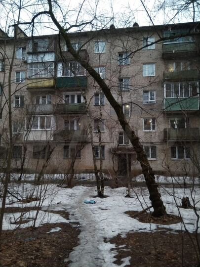 1-к. квартира, 30,9 м², 2/5 эт.