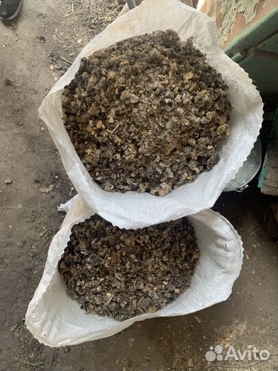 Перепелиный навоз