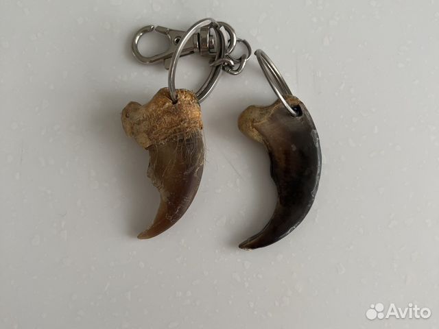 Брелок иметация коготь медведя