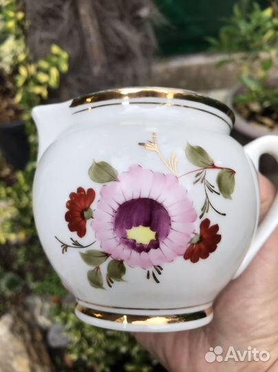 Молочник Сливочник Редкий