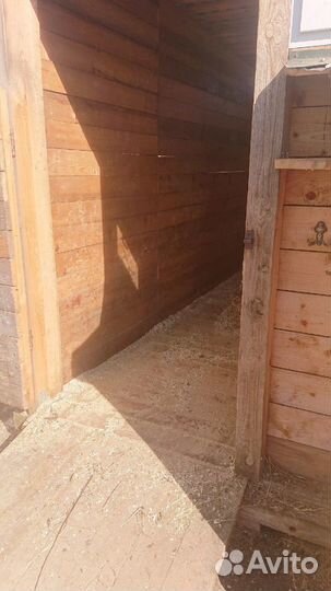 Постой для лошади в спб, север города, Парголово