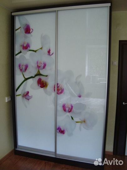 Двери для шкафа с фотопечатью шк-169