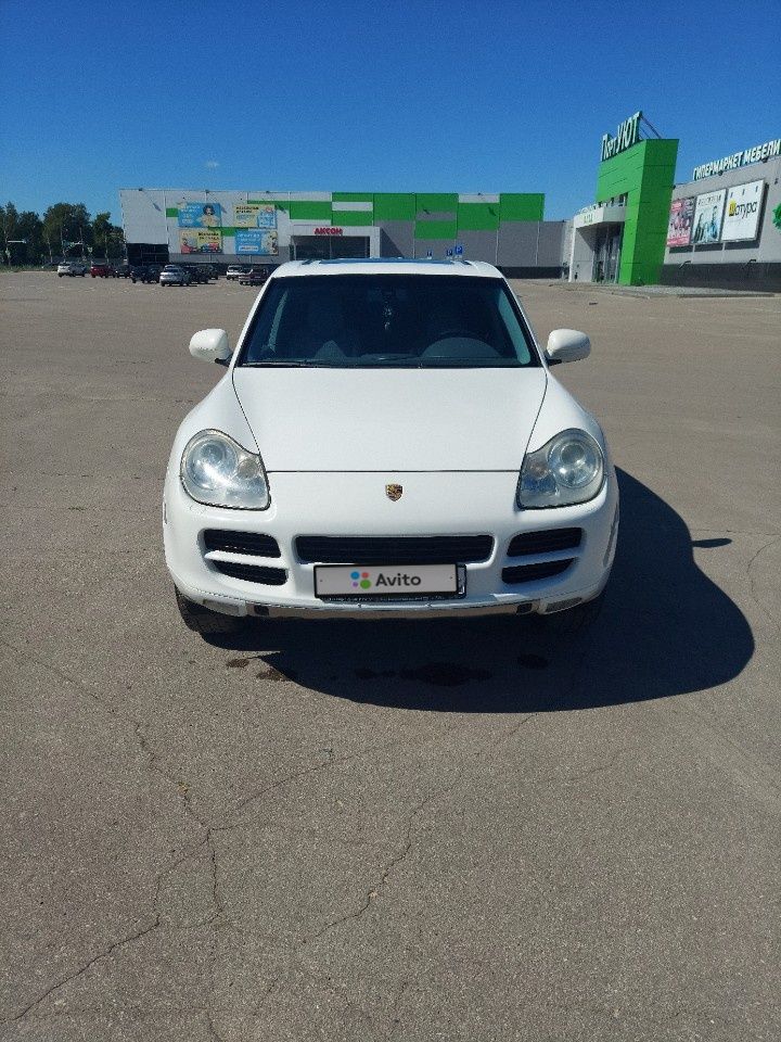 Porsche Cayenne: фото владельца