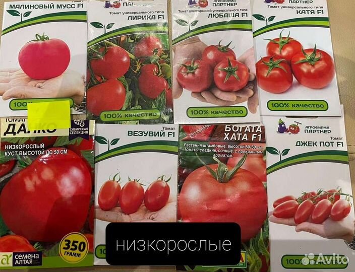 Рассада томатов для теплиц