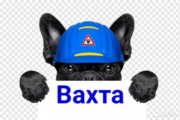 Торфрабочий /Оператор линии пресса вахта
