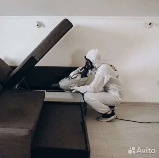 Средство для Уничтожения клопов тараканов плесени клещей