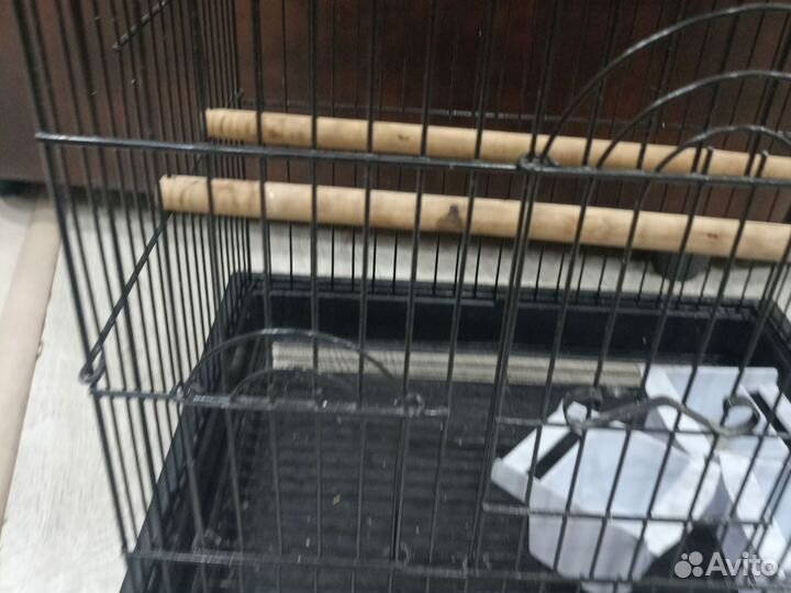 Большая клетка для птиц