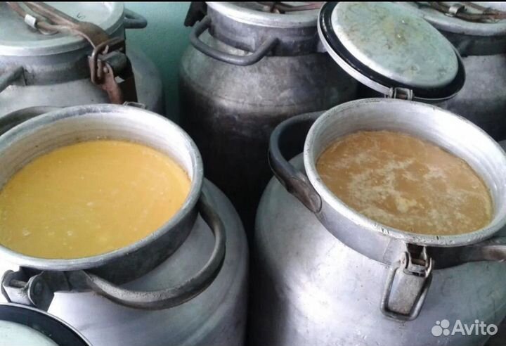 Мед цветочный