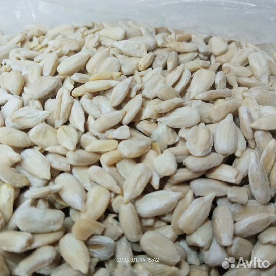 Семена подсолнечника