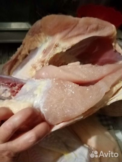 Индюки на мясо