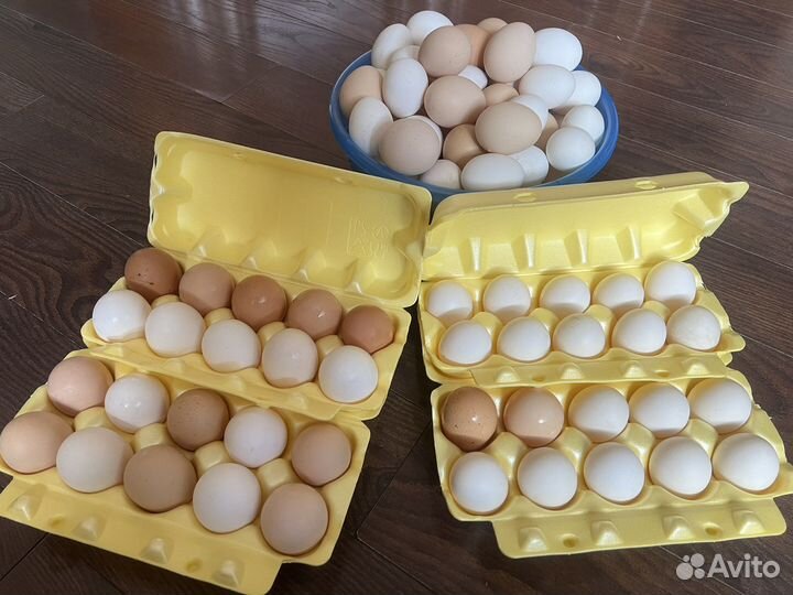 Домашние куриные яйца