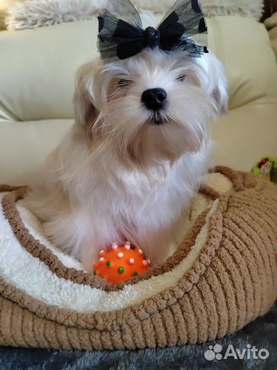 Красивый мальчик