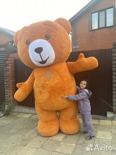 Плюшевый мишка- сюрприз