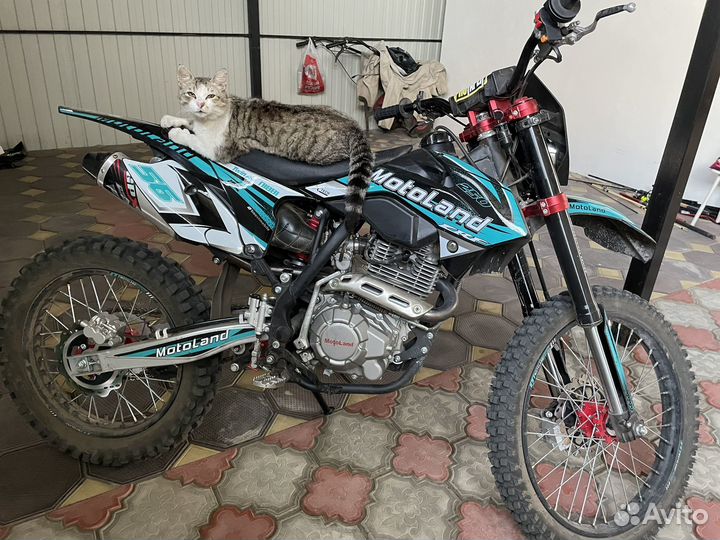 Мотолэнд CRF 250