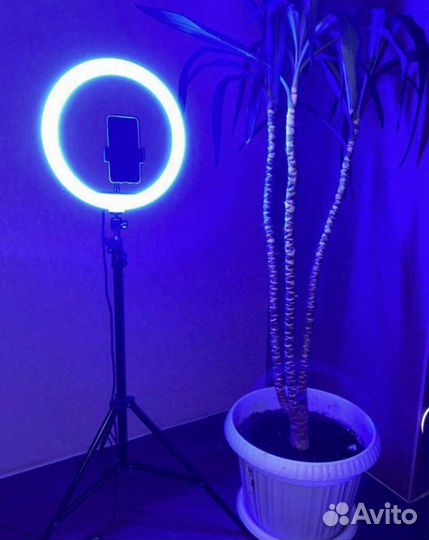 Новая цветная кольцевая лампа