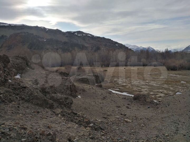 Участок 2,3 га (СНТ, ДНП)