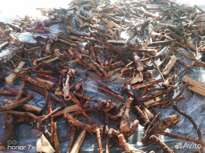 Корень элеутерококка