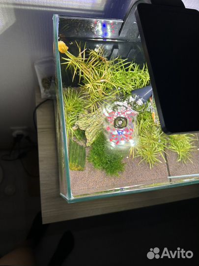 Аквариум Aquael 20 литров