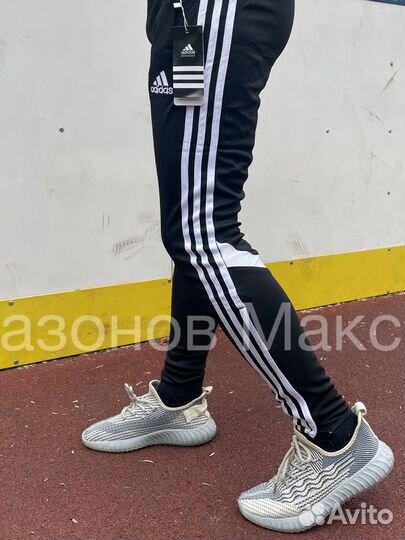 Штаны мужские adidas