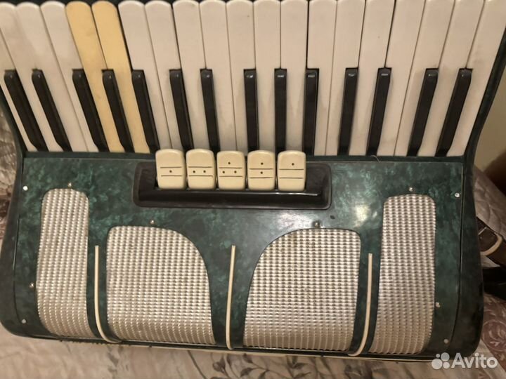 Аккордеон Квинта