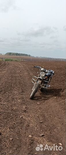 Продам мопед alpha YQ50