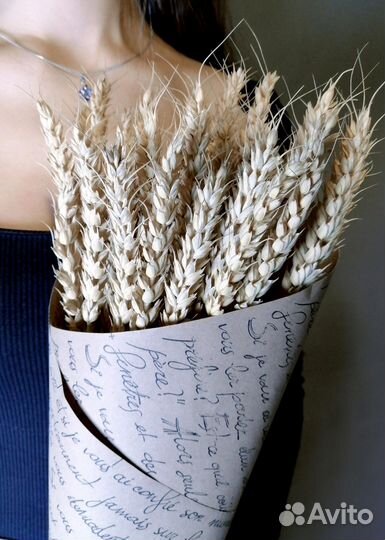 Декоративная рожь, пшеница, овес(сухоцветы)