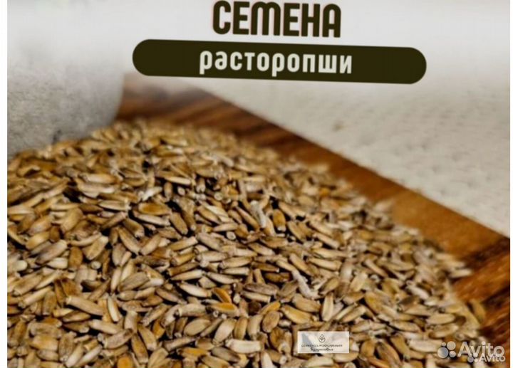 Расторопша семена новые