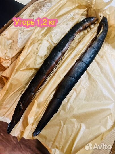 Копченая рыба (горячего Копчения)