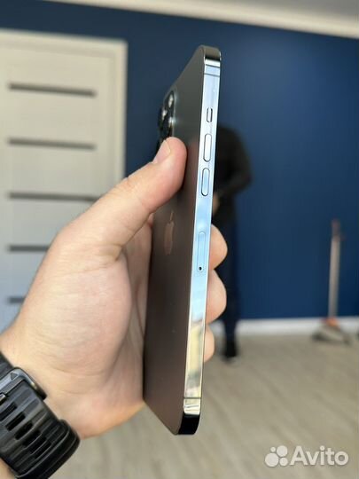 iPhone 12 Pro Max, 256 ГБ