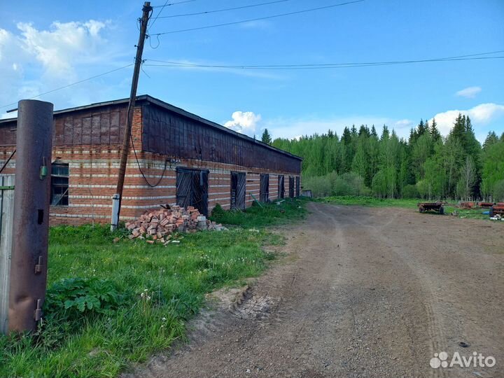 Фермерское хозяйство