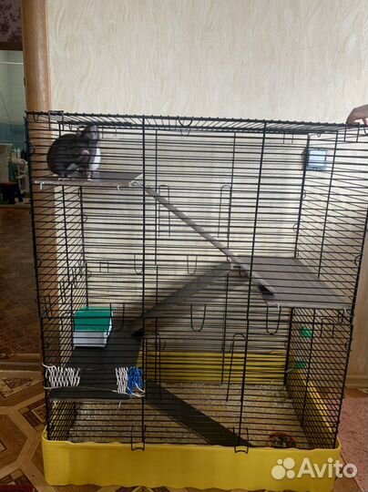 Большая клетка для крыс