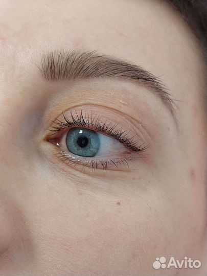 Брови/ду/velvet ресниц/ламинирование ресниц