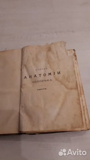 Антикварная книга 1881г. Анатомия человека