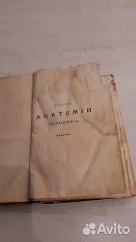 Антикварная книга 1881г. Анатомия человека