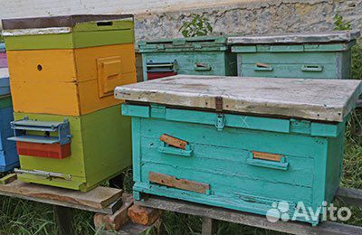 Ульи лежаки