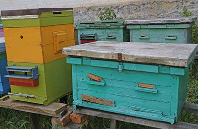 Ульи лежаки