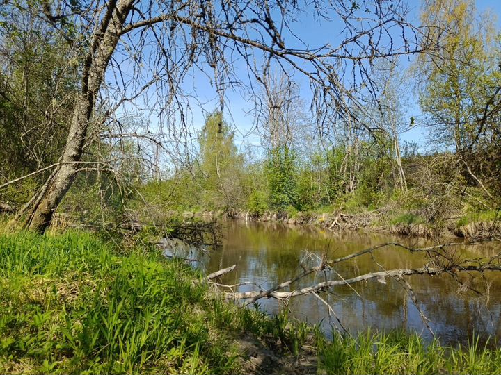 Участок 11 сот. (СНТ, ДНП)